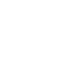 Shield Icon